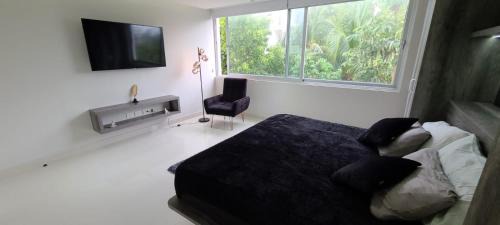 Luis Donaldo Colosio Apartment | 5TH Avenue Aparment