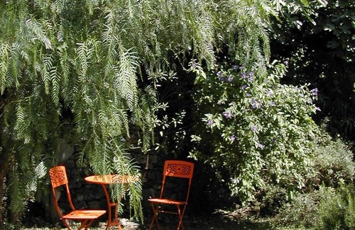 Isolalunga Apartment | 6 km from the sea, in Ligurian back-country, olive grove, old village district