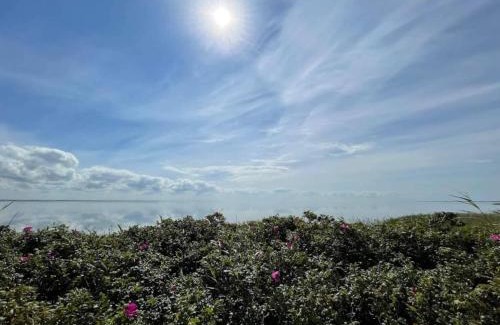 Ringkobing House | 6 person holiday home in Ringkøbing-By Traum