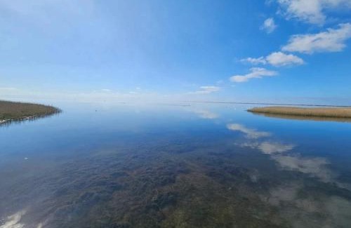 Ringkobing House | 6 person holiday home in Ringkøbing-By Traum