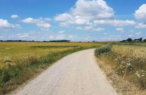 Diernæs Strandby House | 6 person holiday home in Haderslev-By Traum