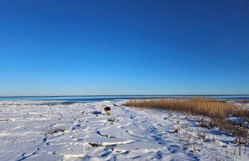 Ørsted House | 6 person holiday home in Ørsted-By Traum