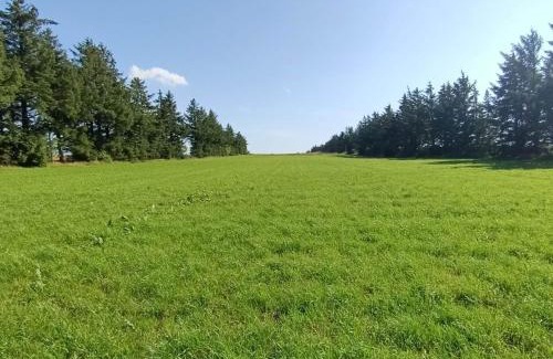 Skaerbaek House | 6 person holiday home in Skærbæk-By Traum