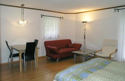 Vulpera Apartment | 6303 Komplett renoviertes und stilvolles Studio zum Wohlfuehlen