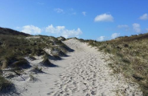 Nørre Lyngvig House | 7 person holiday home in Hvide Sande-By Traum