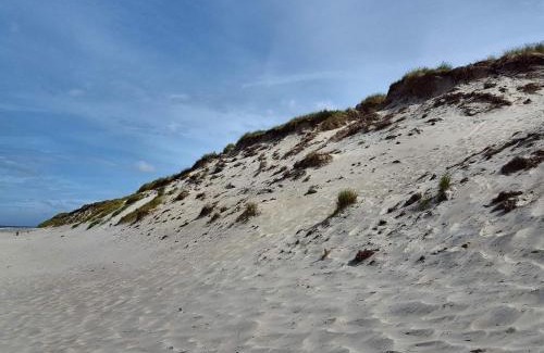 Nørre Lyngvig House | 7 person holiday home in Hvide Sande-By Traum