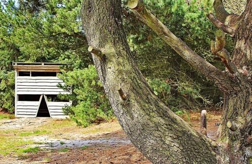 Sønder Nissum House | 7 person holiday home in Ulfborg-By Traum