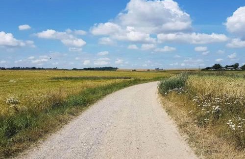 Diernæs Strandby House | 8 person holiday home in Haderslev