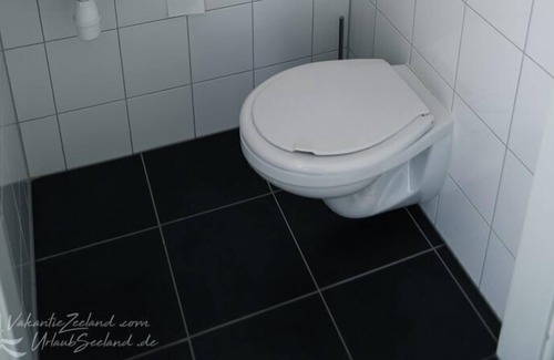 Wolphaartsdijk House | 8-person holiday home in Wolphaartsdijk