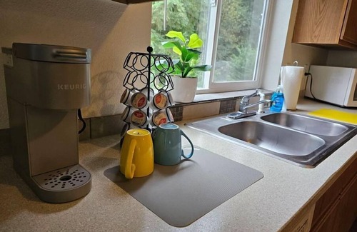 Bonney Lake House | 90s Themed House In the Woods