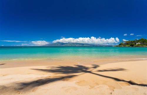 Kapalua Apartment | 924 Ridge