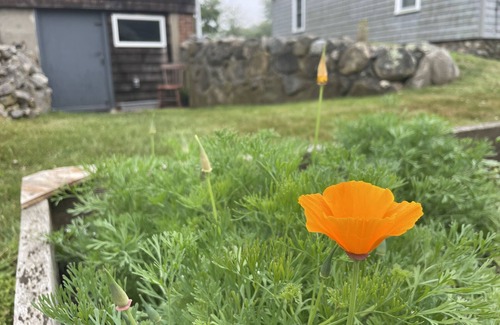 Mystic - New London Cottage | 97 Year Old Fishmongers Time Capsule