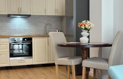 Timisoara Apartment | A&A Appartment 2