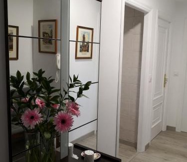 Arca Apartment | A Barciela (camino ingles)