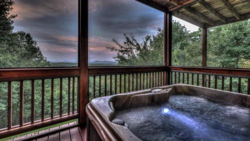 Mineral Bluff House | A Bear's Dream