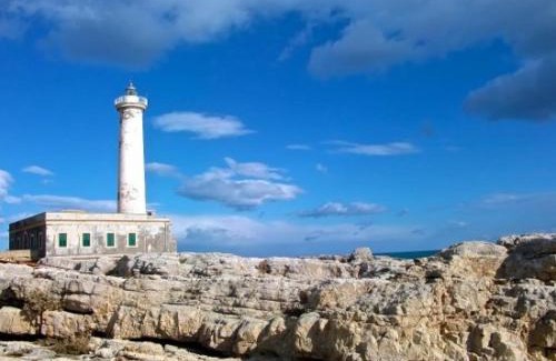 Augusta House | A Casa da Nelly Augusta