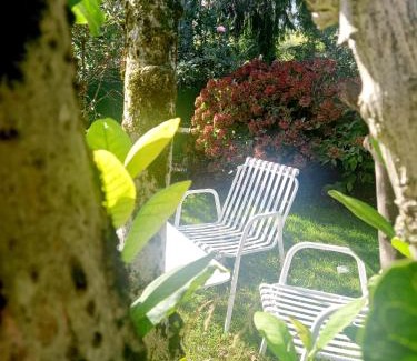 Treviso Bed & Breakfast | A Casa Di Dora