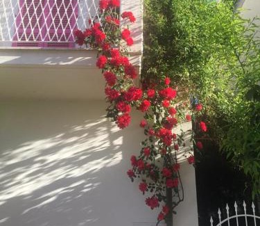 Grottammare Bed & Breakfast | A Casa di LoLu
