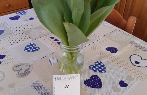 Pisa Bed & Breakfast | A casa di Lucia B&B