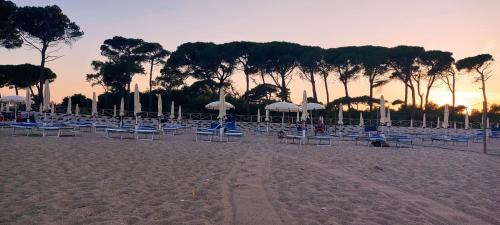 Porto Recanati Apartment | A casa di Milena