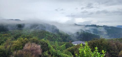 Upper Hutt House | A comfortable room in Upper Hutt with views - Homestay