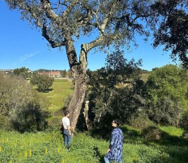 Sao Pedro de Tomar House | A cozy cottage in Tomar