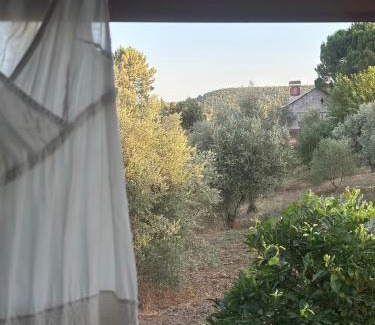 Sao Pedro de Tomar House | A cozy cottage in Tomar