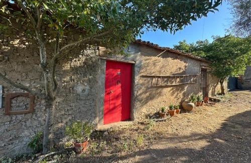 Sao Pedro de Tomar House | A cozy cottage in Tomar