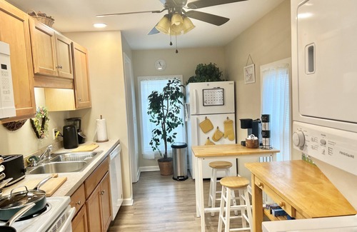 Downtown Rochester Apartment | A Cozy, Homely, Fun Retreat minutes from downtown