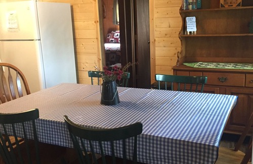 Winter Cabin | A Family Vacation is still Affordable