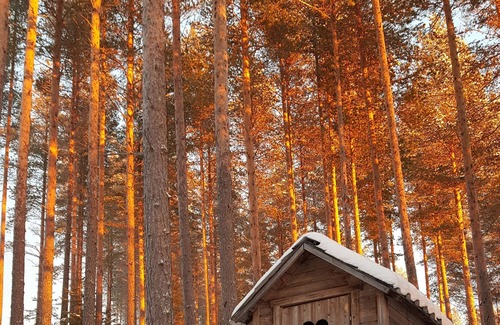 Morjarv Cabin | A Hidden Tiny House in the nature