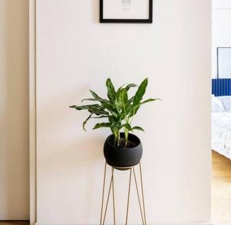 Cuauhtemoc Apartment | A Hip Modern Gem in El Centro!