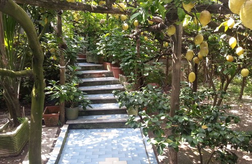 Maiori Villa | A home near the nature and the sea!