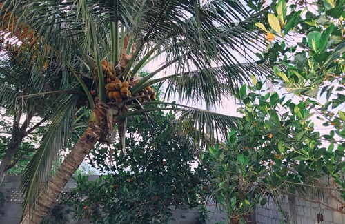Phan Rang House | A homey homestay in a typical Vietnamese countryside, lovely price.