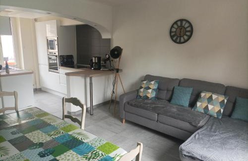 Epinal Apartment | A l'ombre du Lilas - avec Spa privatif en supplément