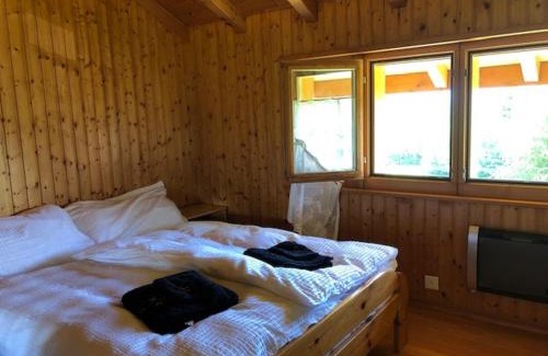 Anzere Ski Chalet | A l'orée du bisse