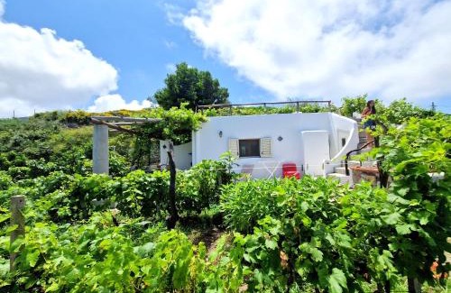 Lipari House | a Loggia