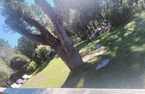 San-Gavino-di-Carbini Villa | A pay haven in the maquis