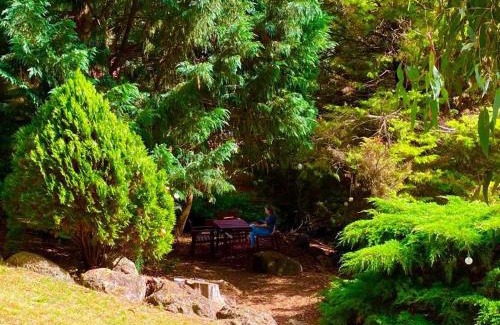 Donvale House | A peaceful break amidst lush greenery and birds