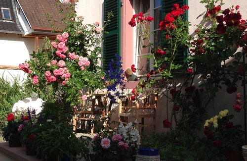 Mainz-Bingen House | A piece of German history and charm