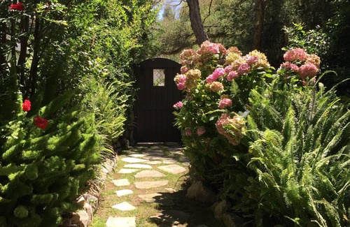 Altadena Apartment | A Poolside Gem in Beautiful Altadena.