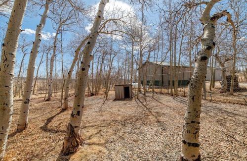 Fairplay House | A Private and Relaxing Home Nestled in an Aspen Grove - Heart of the Aspens