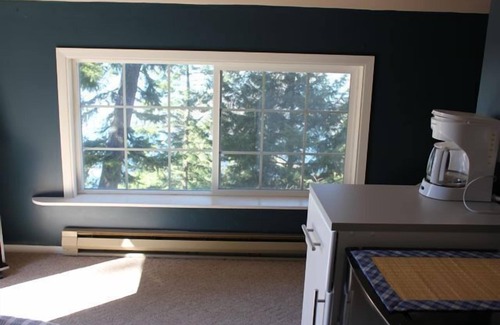 Coeur d'Alene Apartment | A Studio with a View above lake and Centennial Trail-Dock Access Included