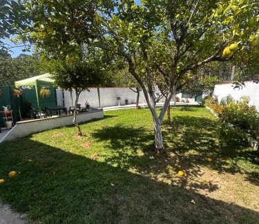 O Rosal House | A Telleira