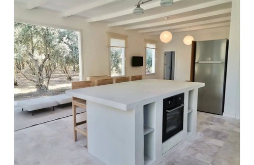 Urla House | A Unique House Among the Olive Trees