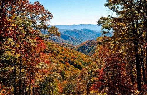 Gatlinburg House | A Walk in the Clouds