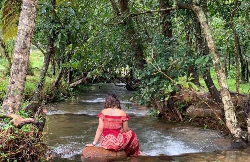Lakkidi Hotel | Abad Brookside Wayanad