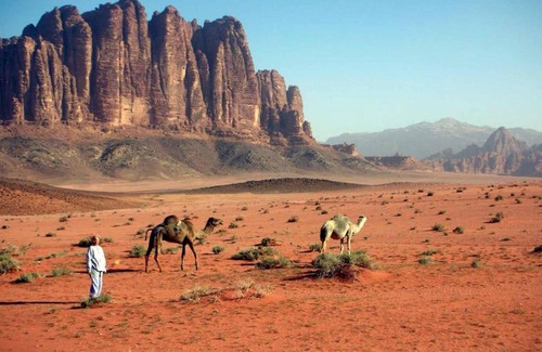 Wadi Rum Bed & Breakfast | Abdullah desert trips