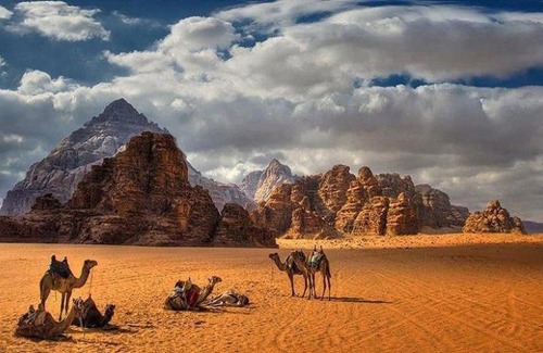 Wadi Rum Bed & Breakfast | Abdullah desert trips