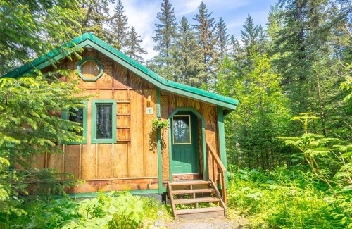 Seward Cabin | Abode Well Cabin King Bed WIFI Full Bath